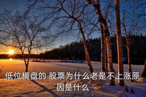哪些股票一直沒漲,北京奧運會哪些股票漲了