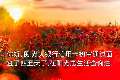 你好,我 光大銀行信用卡初審?fù)ㄟ^(guò)面簽了四五天了,在陽(yáng)光惠生活查詢進(jìn)...