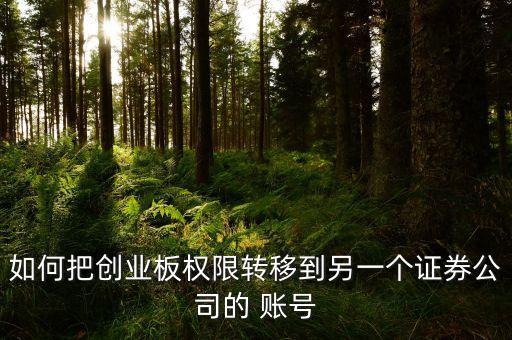 如何把創(chuàng)業(yè)板權(quán)限轉(zhuǎn)移到另一個(gè)證券公司的 賬號