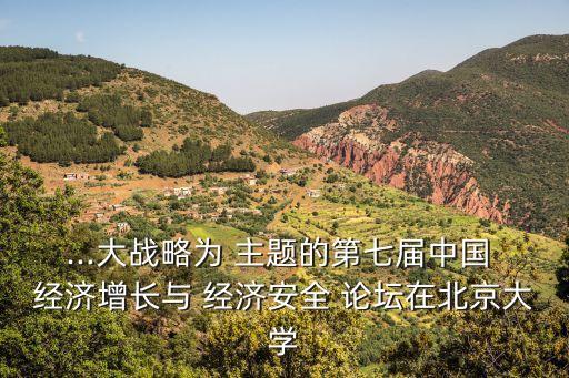 ...大戰(zhàn)略為 主題的第七屆中國 經(jīng)濟(jì)增長與 經(jīng)濟(jì)安全 論壇在北京大學(xué)
