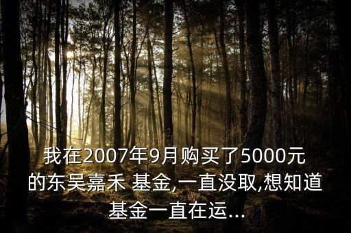我在2007年9月購買了5000元的東吳嘉禾 基金,一直沒取,想知道 基金一直在運...