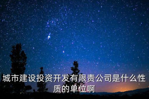 城市建設(shè)投資開發(fā)有限責(zé)公司是什么性質(zhì)的單位啊