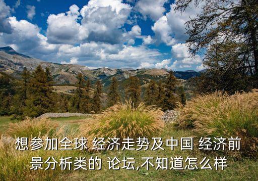 想?yún)⒓尤?經(jīng)濟(jì)走勢及中國 經(jīng)濟(jì)前景分析類的 論壇,不知道怎么樣