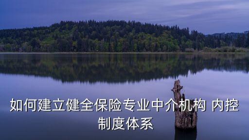 如何建立健全保險(xiǎn)專業(yè)中介機(jī)構(gòu) 內(nèi)控 制度體系
