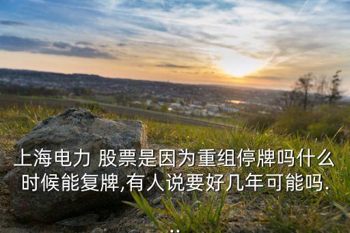 上海電力 股票是因?yàn)橹亟M停牌嗎什么時(shí)候能復(fù)牌,有人說(shuō)要好幾年可能嗎...