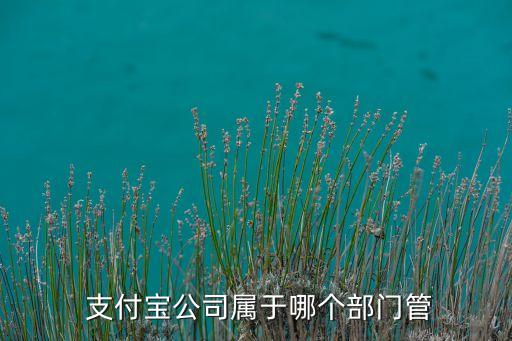  支付寶公司屬于哪個(gè)部門(mén)管