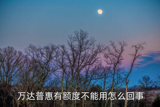  萬達普惠有額度不能用怎么回事