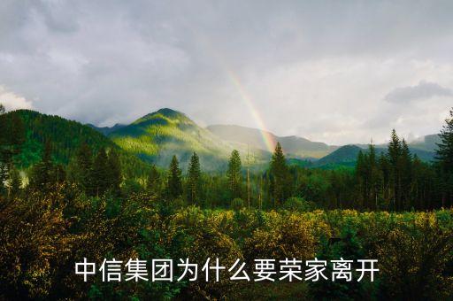中信集團(tuán)為什么要榮家離開(kāi)