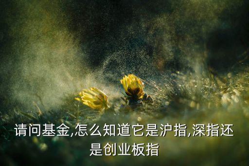 請(qǐng)問基金,怎么知道它是滬指,深指還是創(chuàng)業(yè)板指