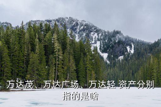 萬(wàn)達(dá)茂、萬(wàn)達(dá)廣場(chǎng)、萬(wàn)達(dá)輕 資產(chǎn)分別指的是啥