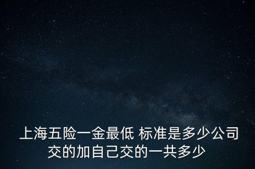  上海五險一金最低 標準是多少公司交的加自己交的一共多少