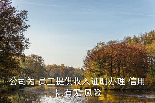 公司為 員工提供收入證明辦理 信用卡,有無 風(fēng)險