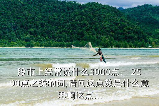 股市上經(jīng)常說什么3000點、 2500點之類的詞,請問這點數(shù)是什么意思啊這點...