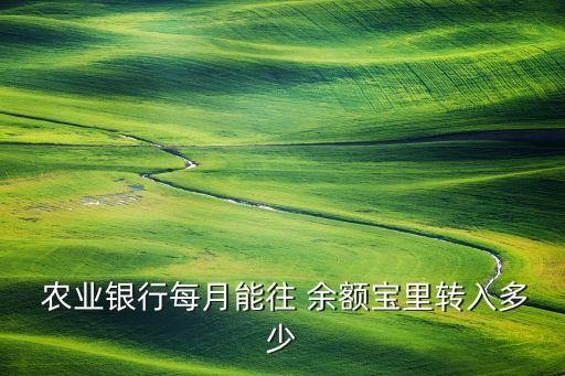  農業(yè)銀行每月能往 余額寶里轉入多少