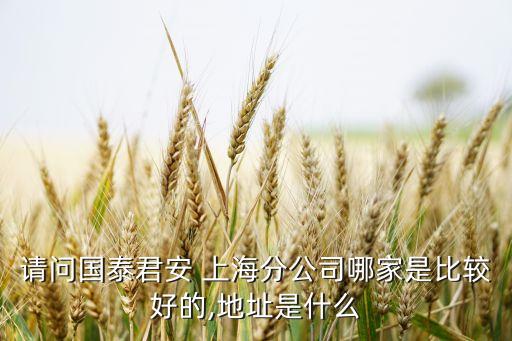 請問國泰君安 上海分公司哪家是比較好的,地址是什么
