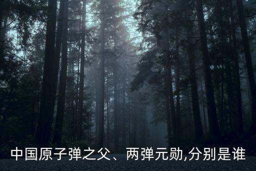 中國原子彈之父、兩彈元勛,分別是誰