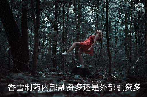  香雪制藥內部融資多還是外部融資多