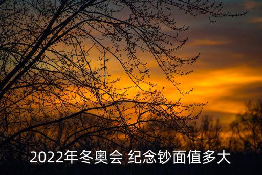 2022年冬奧會(huì) 紀(jì)念鈔面值多大