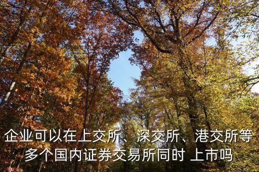 企業(yè)可以在上交所、深交所、港交所等多個國內(nèi)證券交易所同時 上市嗎