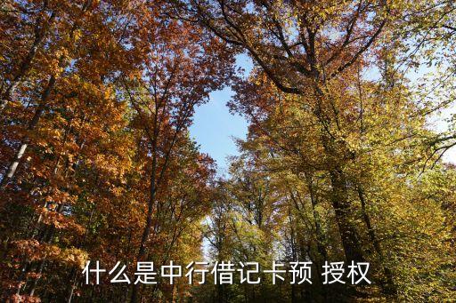 什么是中行借記卡預 授權