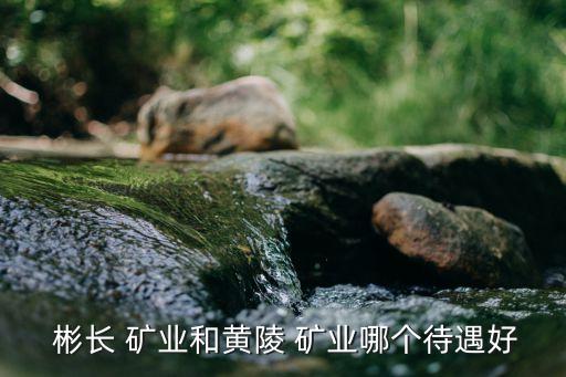 陜西彬長礦業(yè)集團有限公司煤化工公司,2、陜西彬長礦業(yè)集團有限公司