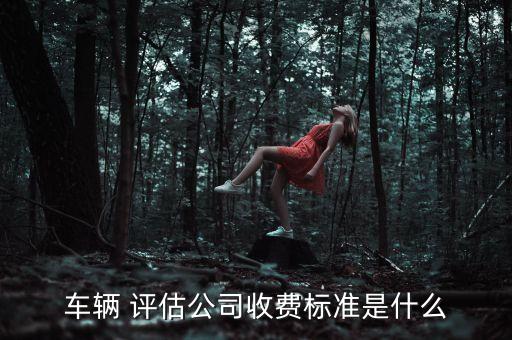 車輛 評估公司收費標準是什么