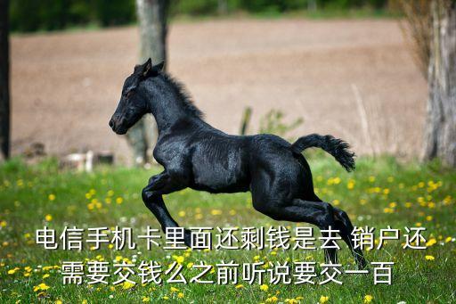  電信手機(jī)卡里面還剩錢(qián)是去 銷(xiāo)戶(hù)還需要交錢(qián)么之前聽(tīng)說(shuō)要交一百