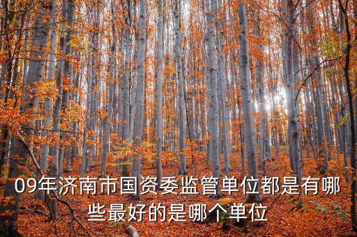 09年濟(jì)南市國資委監(jiān)管單位都是有哪些最好的是哪個單位