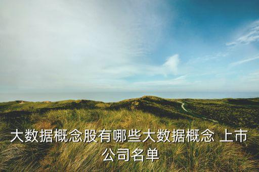 大數(shù)據概念股有哪些大數(shù)據概念 上市 公司名單