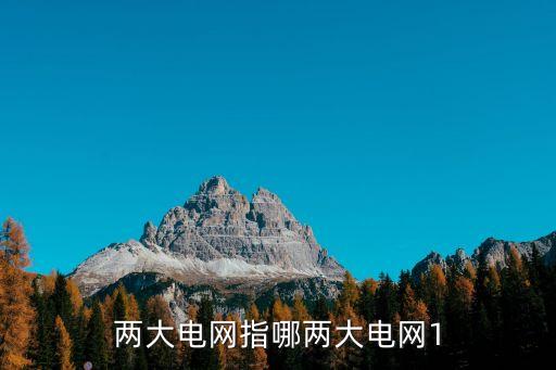 兩大電網指哪兩大電網1