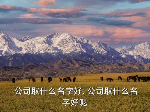 老板買(mǎi)家電開(kāi)公司名稱(chēng)怎么寫(xiě)
