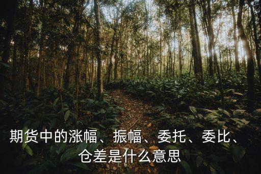 期貨中的漲幅、振幅、委托、委比、 倉(cāng)差是什么意思
