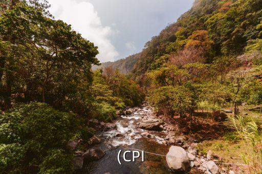 中國(guó)人均消費(fèi)指數(shù),2023人均消費(fèi)指數(shù)CPI