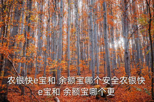 農銀快e寶和 余額寶哪個安全農銀快e寶和 余額寶哪個更