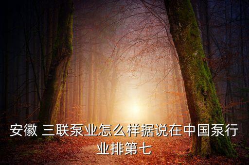 安徽 三聯(lián)泵業(yè)怎么樣據(jù)說在中國(guó)泵行業(yè)排第七