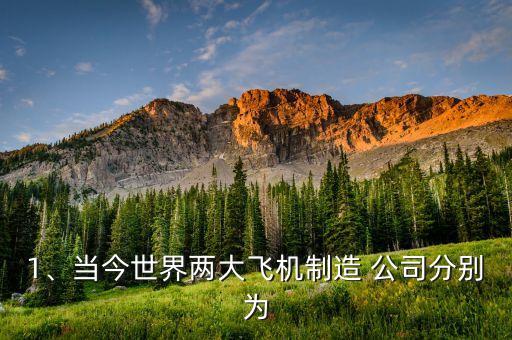 1、當(dāng)今世界兩大飛機(jī)制造 公司分別為