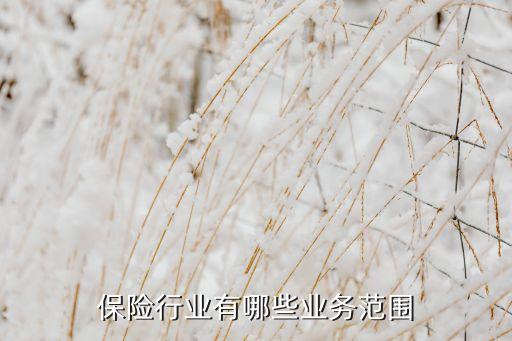 保險行業(yè)有哪些業(yè)務范圍