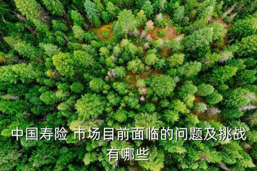 中國(guó)壽險(xiǎn) 市場(chǎng)目前面臨的問題及挑戰(zhàn)有哪些