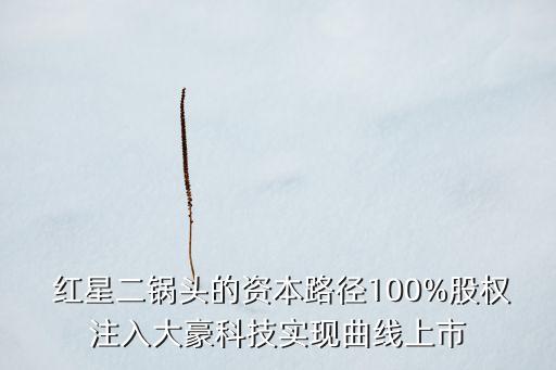  紅星二鍋頭的資本路徑100%股權注入大豪科技實現(xiàn)曲線上市
