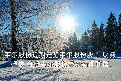 三星公司財務(wù)報表分析
