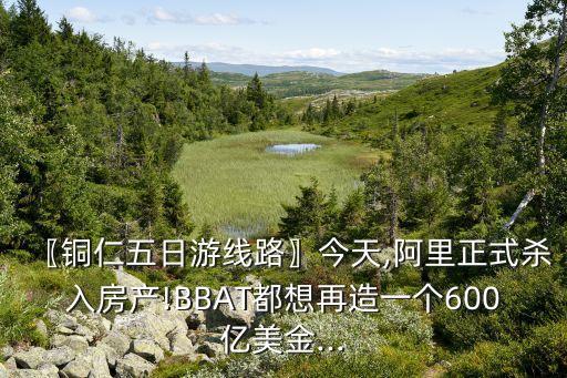 〖銅仁五日游線路〗今天,阿里正式殺入房產!BBAT都想再造一個600億美金...