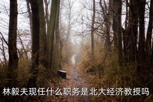 林毅夫現(xiàn)任什么職務是北大經(jīng)濟教授嗎
