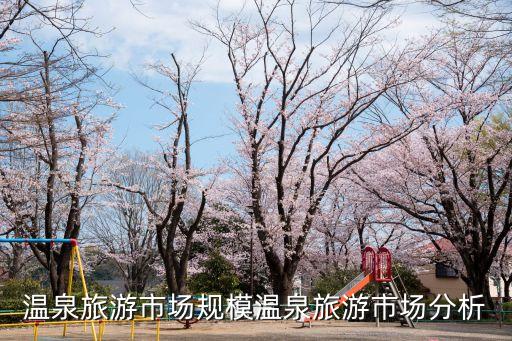 2015中國旅游業(yè)發(fā)展報告,吉林省旅游業(yè)服務發(fā)展報告