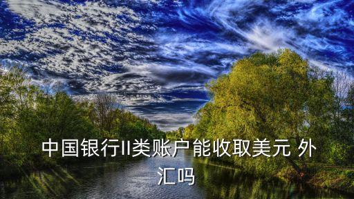  中國(guó)銀行II類賬戶能收取美元 外匯嗎