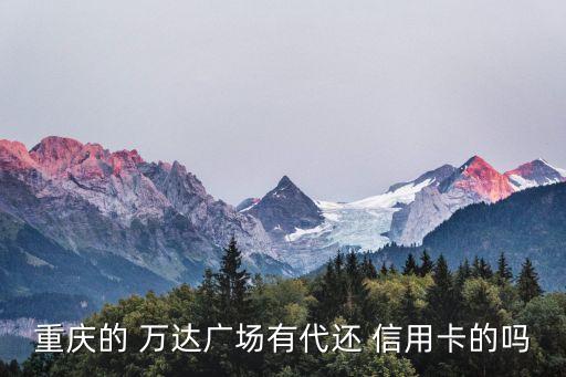 重慶的 萬達廣場有代還 信用卡的嗎