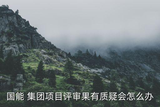 國能 集團(tuán)項(xiàng)目評(píng)審果有質(zhì)疑會(huì)怎么辦