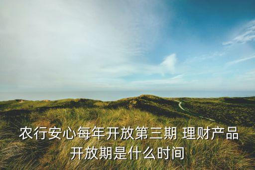 農(nóng)行網(wǎng)上銀行的理財產(chǎn)品幾點(diǎn)發(fā)售