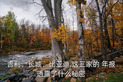 吉利、長(zhǎng)城、比亞迪,這三家的 年報(bào)透露了什么秘密