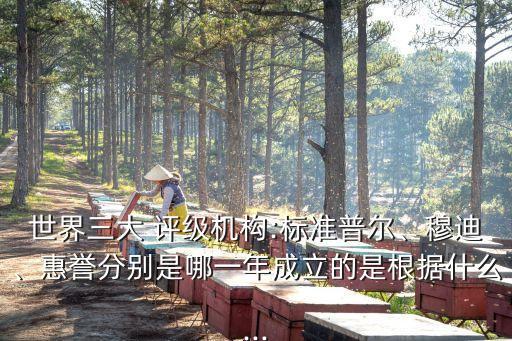 世界三大 評(píng)級(jí)機(jī)構(gòu):標(biāo)準(zhǔn)普爾、穆迪、惠譽(yù)分別是哪一年成立的是根據(jù)什么...