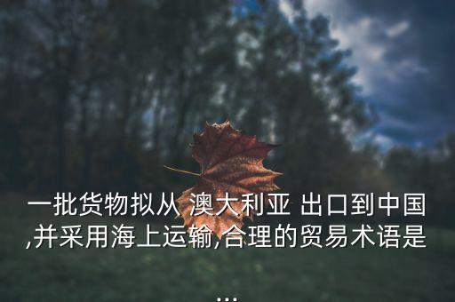 一批貨物擬從 澳大利亞 出口到中國,并采用海上運(yùn)輸,合理的貿(mào)易術(shù)語是...
